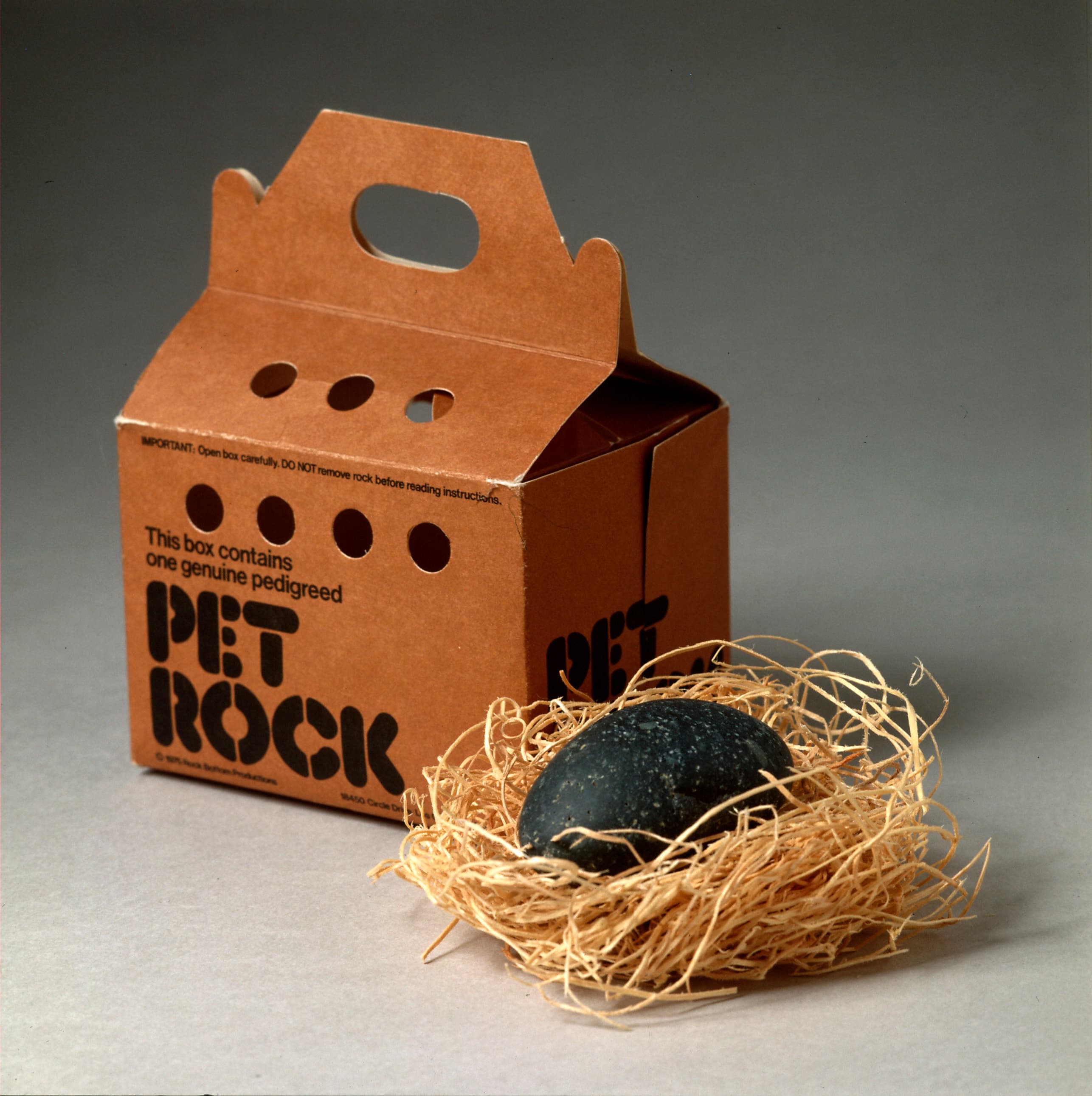 The Pet Rock 