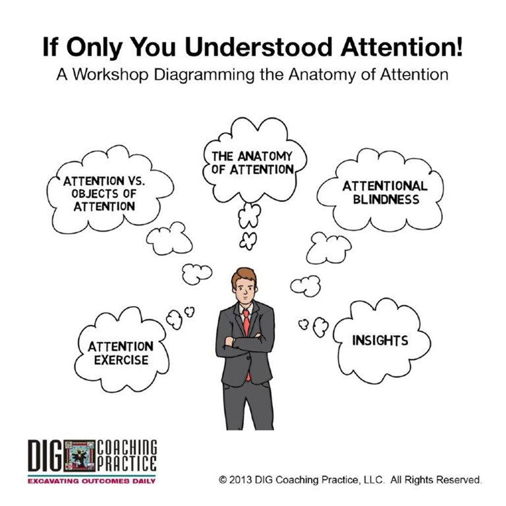 If Only You Understood Attention Video Workshop