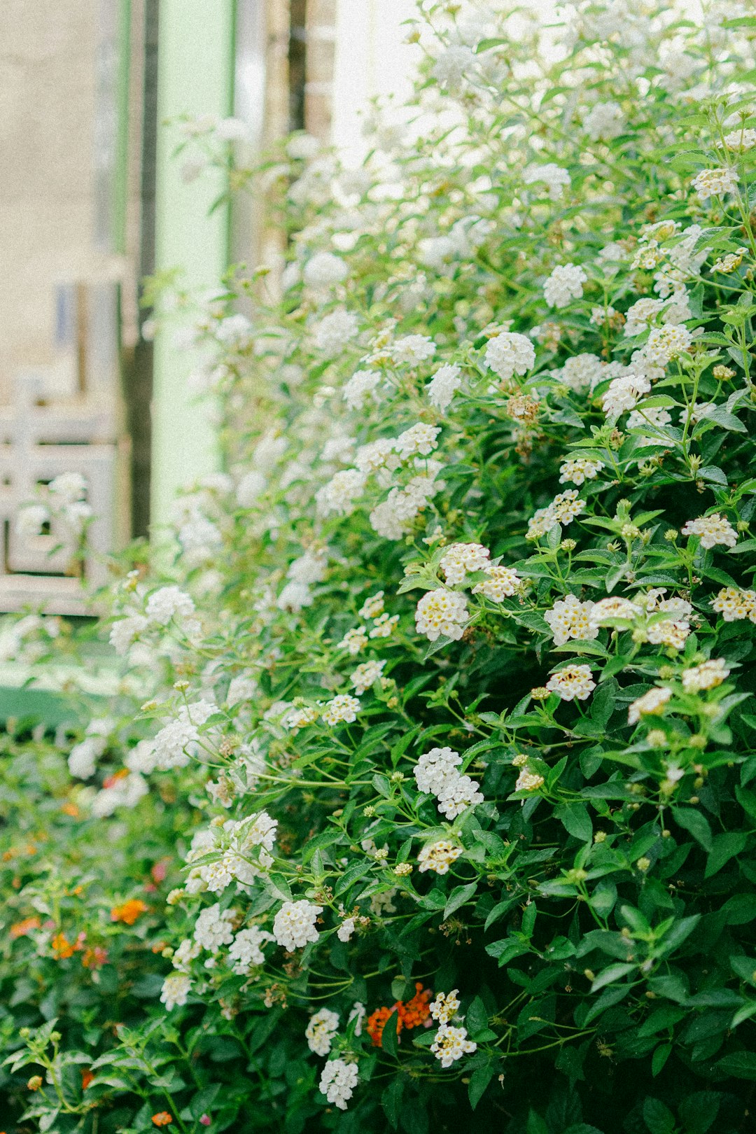 Daily faith practices Daily faith practices