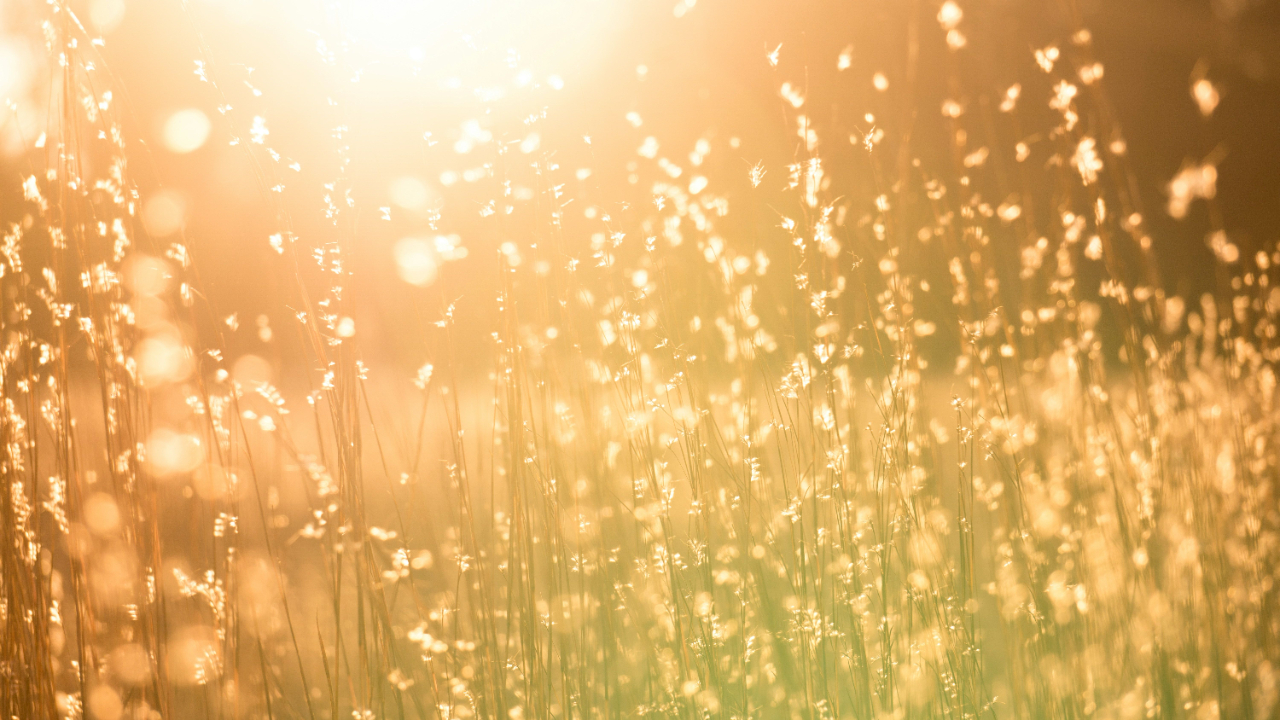 USE THESE 5 Q'S TO STRIKE GOLD WITH CLIENT REVIEWS