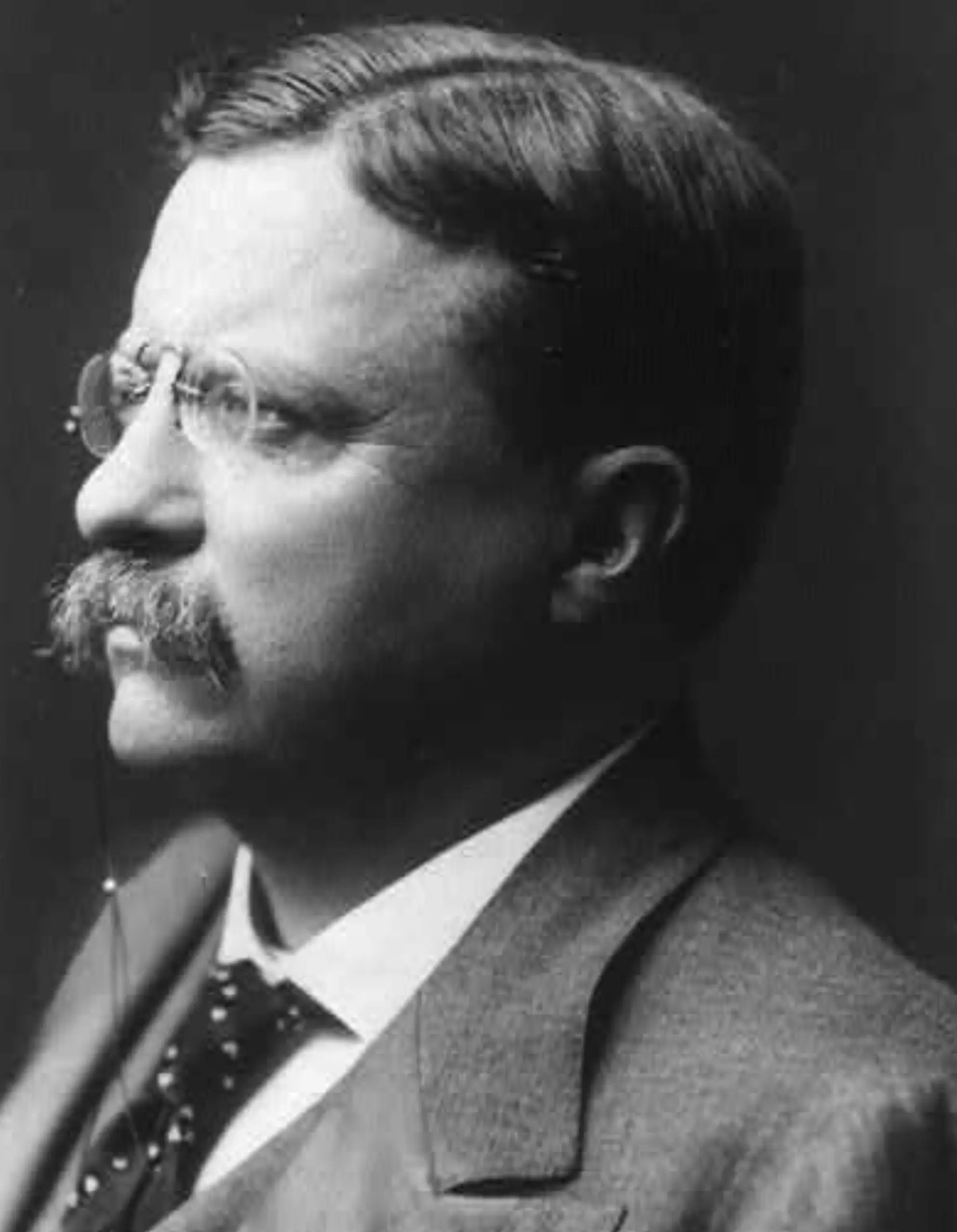 Theodore Roosevelt