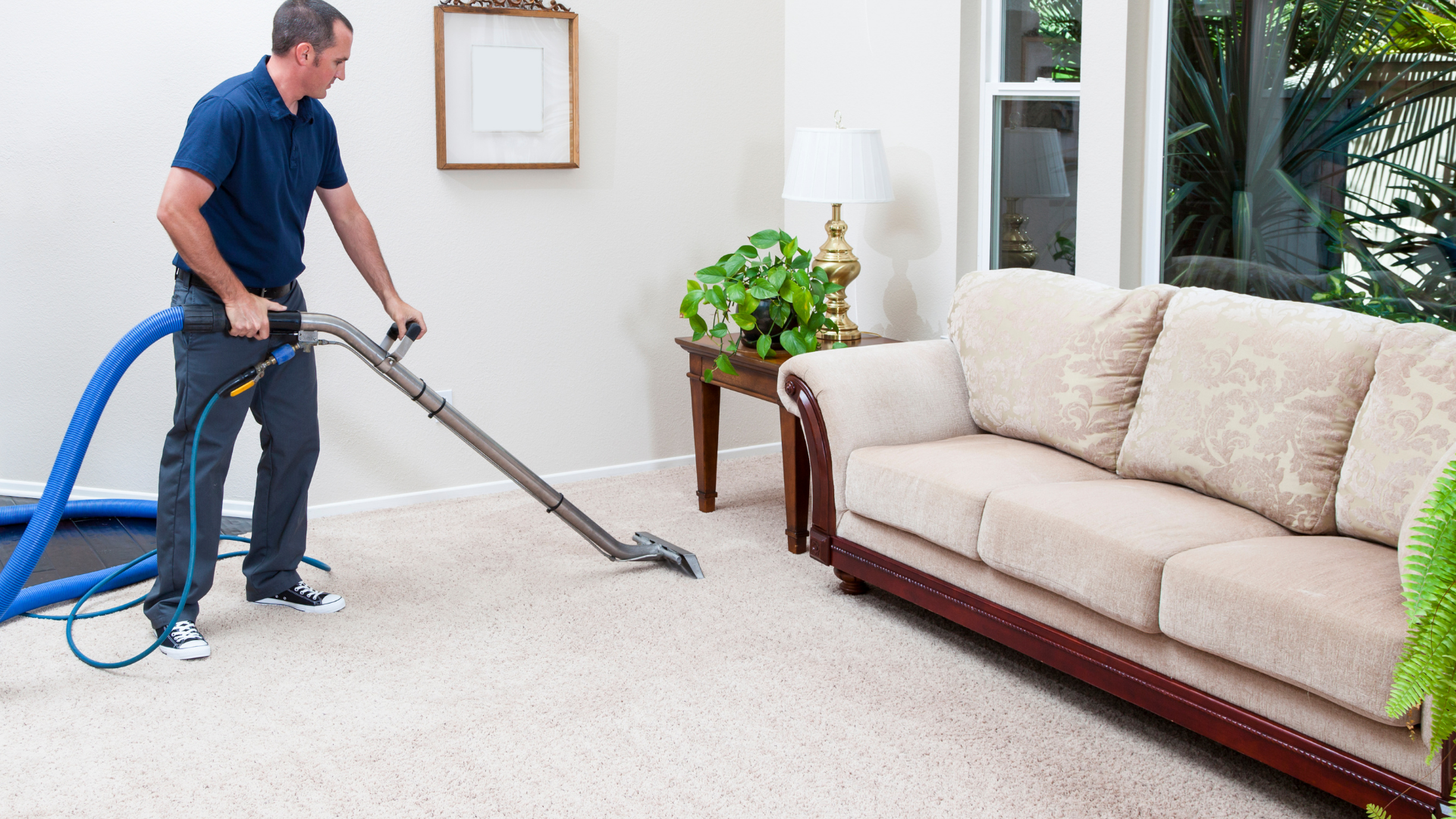 Organic Steamer: Home & Business Carpet Cleaners