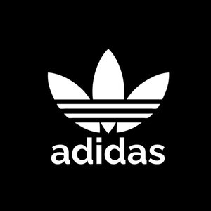 Logo 31