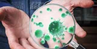 Mold Test Santa Barbara