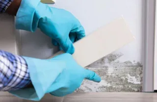 Mold