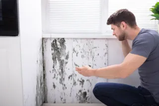Mold