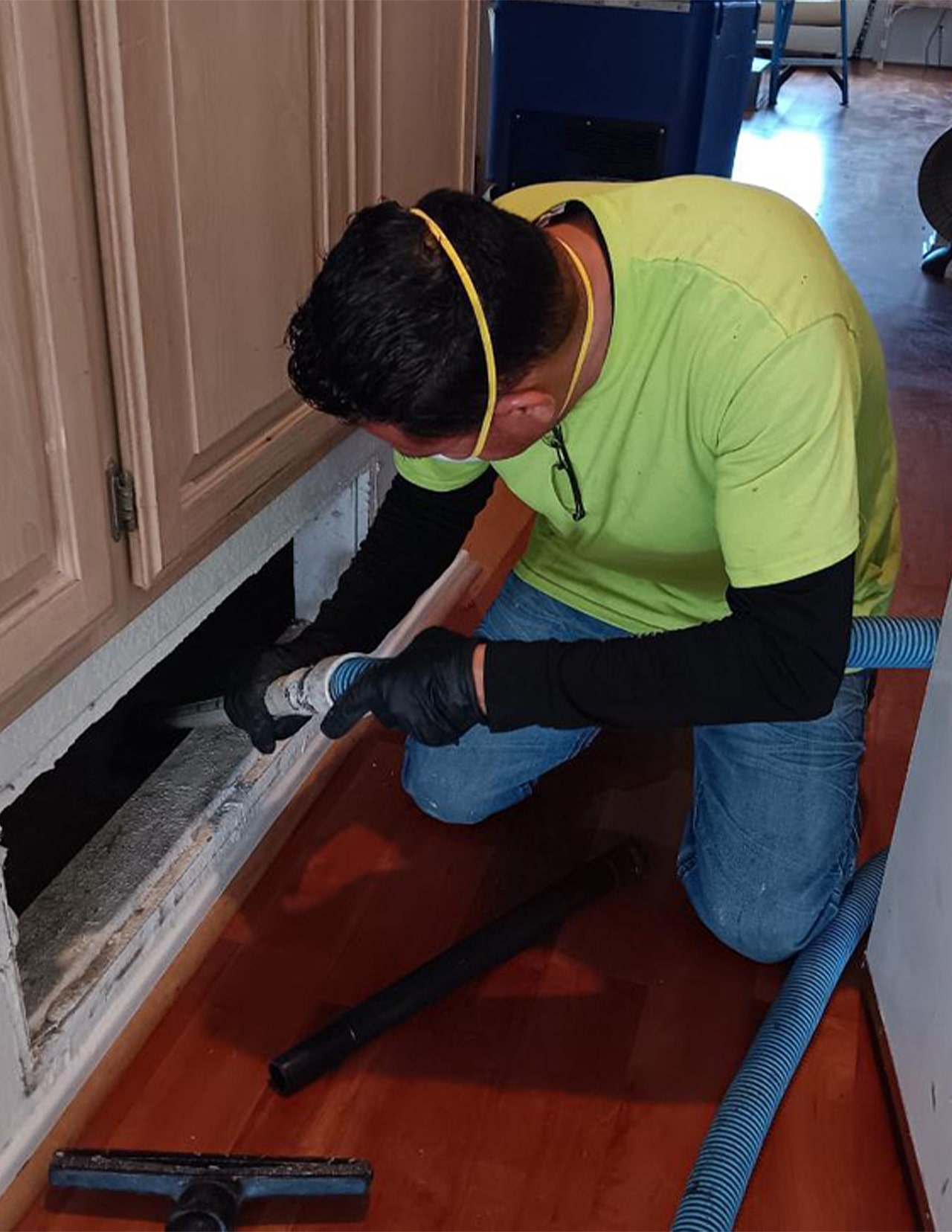 Mold Inspection
