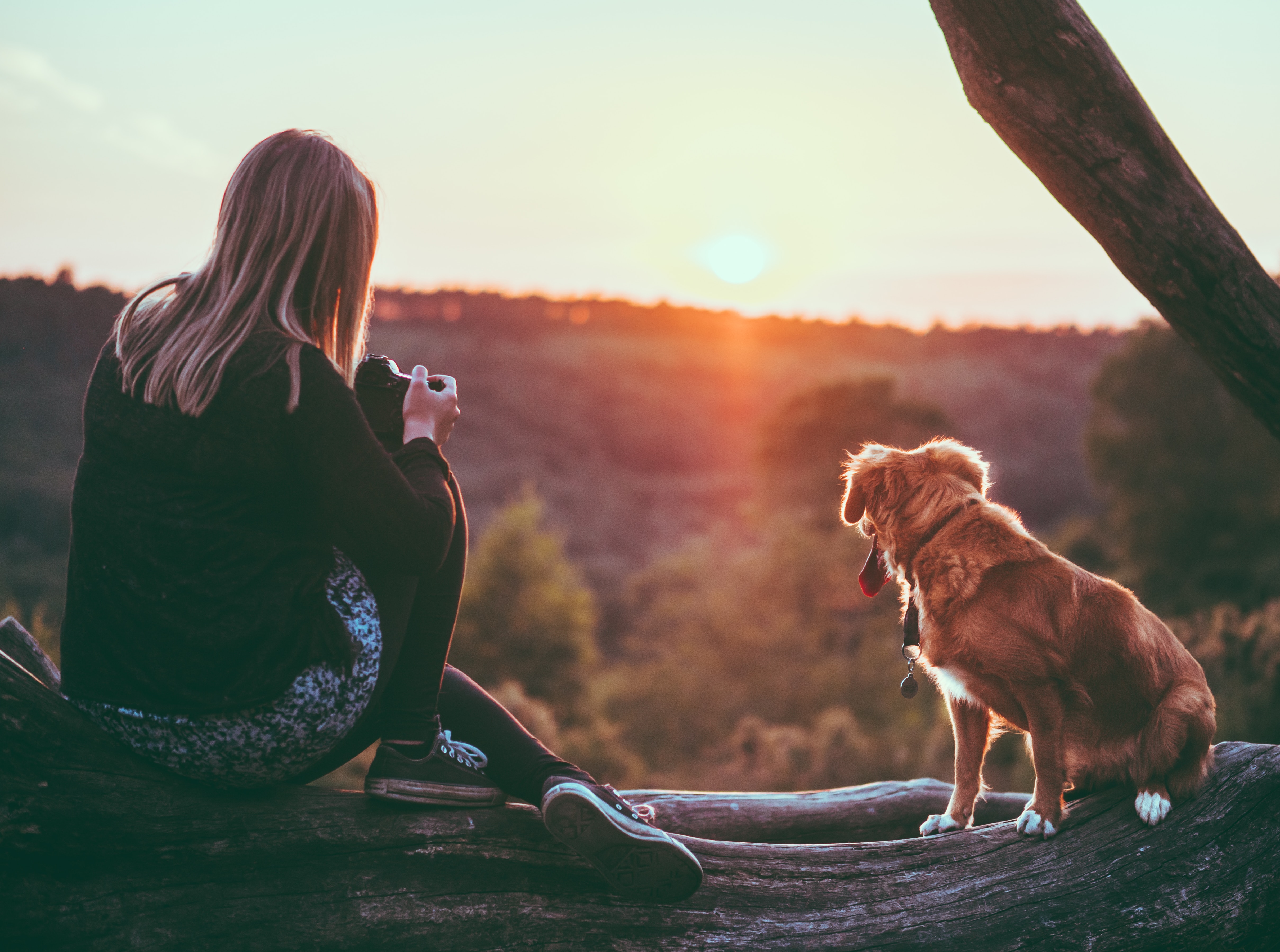 Woman and nova scotia duck tolling retriever sitting on a log watching the sunset