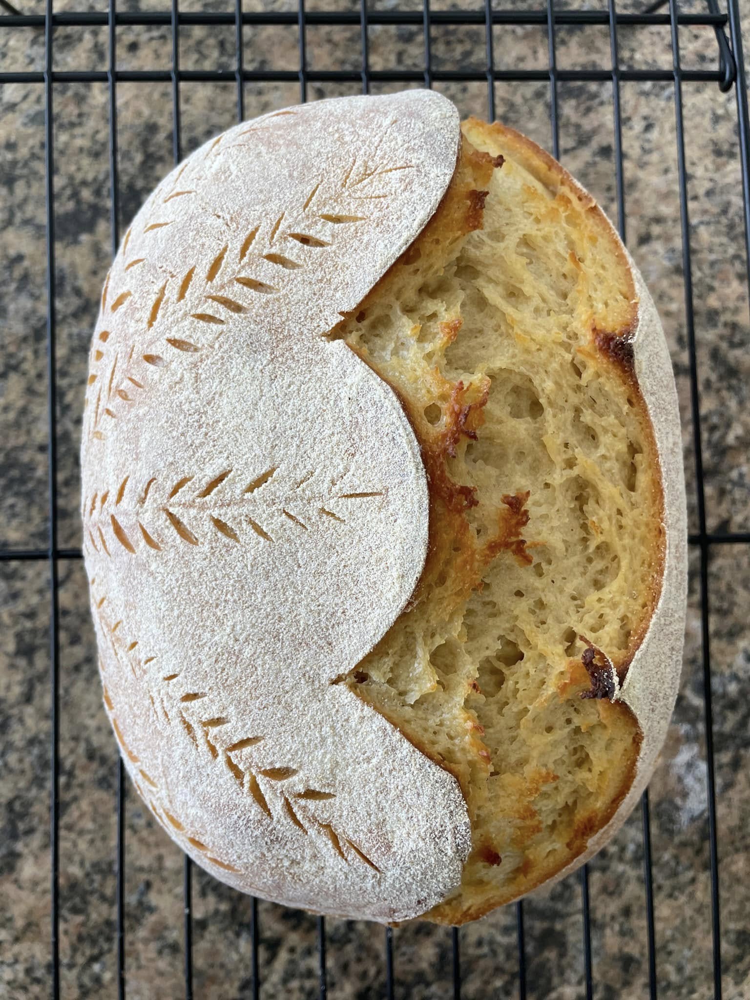 Beautiful scored batard sourdough loaf made with Kamut flour Beautiful scored batard sourdough loaf made with Kamut flour