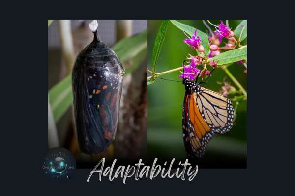 A butterfly emerging from a chrysalis, symbolizing adaptability and transformation in business.