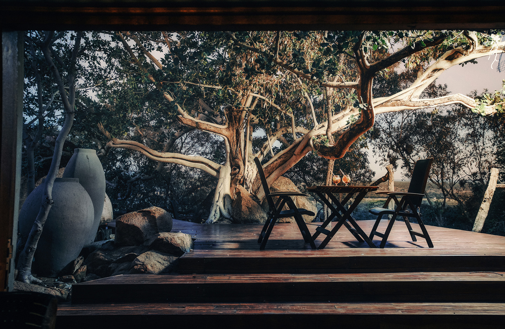 Bush dinner setting