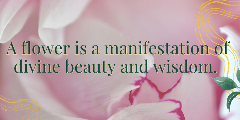 flowers flower magic sanctuary design flowers flower magic sanctuary design