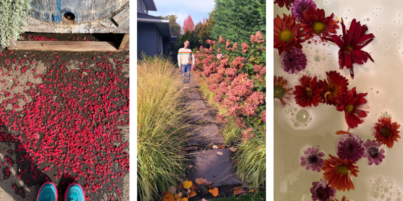 planting design sanctuary design flower magic floral baths planting design sanctuary design flower magic floral baths