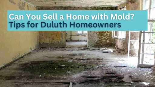Can You Sell a Home with Mold? Tips for Duluth Homeowners
