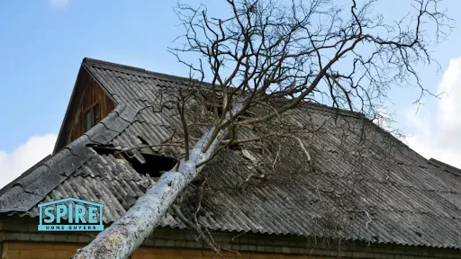 Understanding Storm Damage and Its Impact on Selling a House