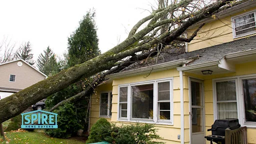 Sell Regardless of the Extent of the Damage