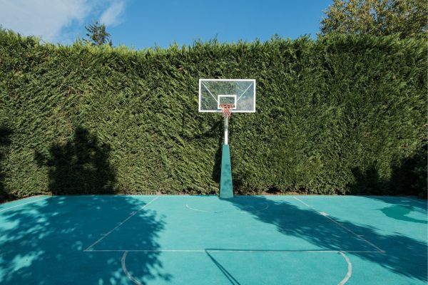 Outdoor basketball court with a hoop surrounded by tall green hedges on a sunny day. Outdoor basketball court with a hoop surrounded by tall green hedges on a sunny day.