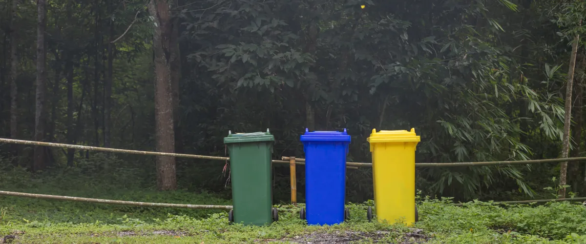 Green, blue, and yellow recycling bins placed along a wooded forest trail.