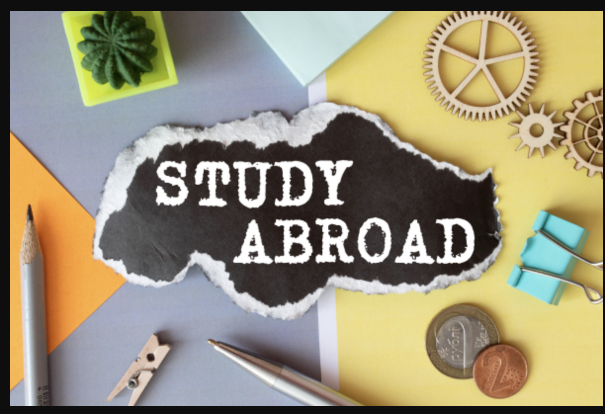 How Studying abroad Shapes the world