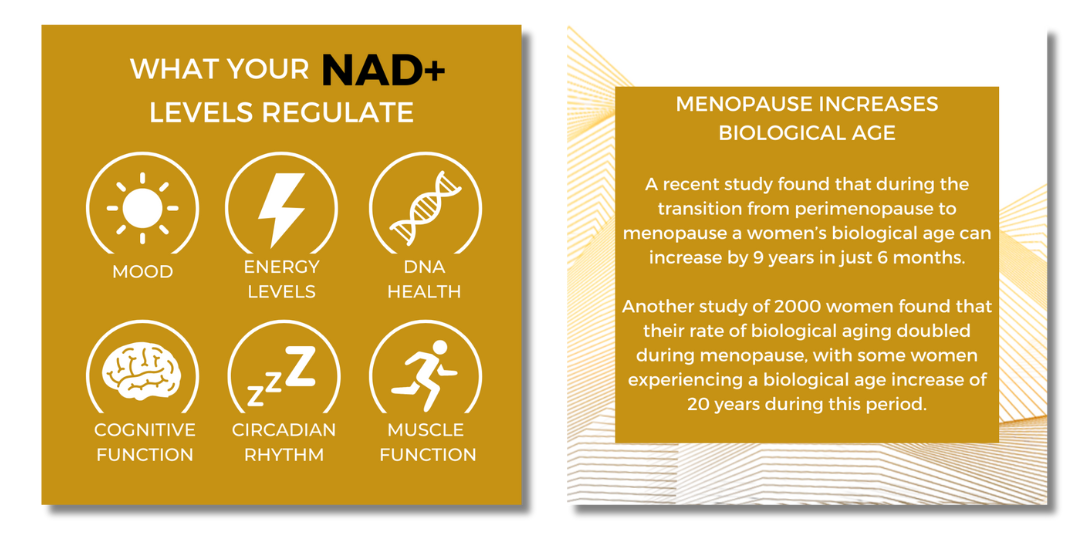 NAD+ Scientific Studies NAD+ Scientific Studies