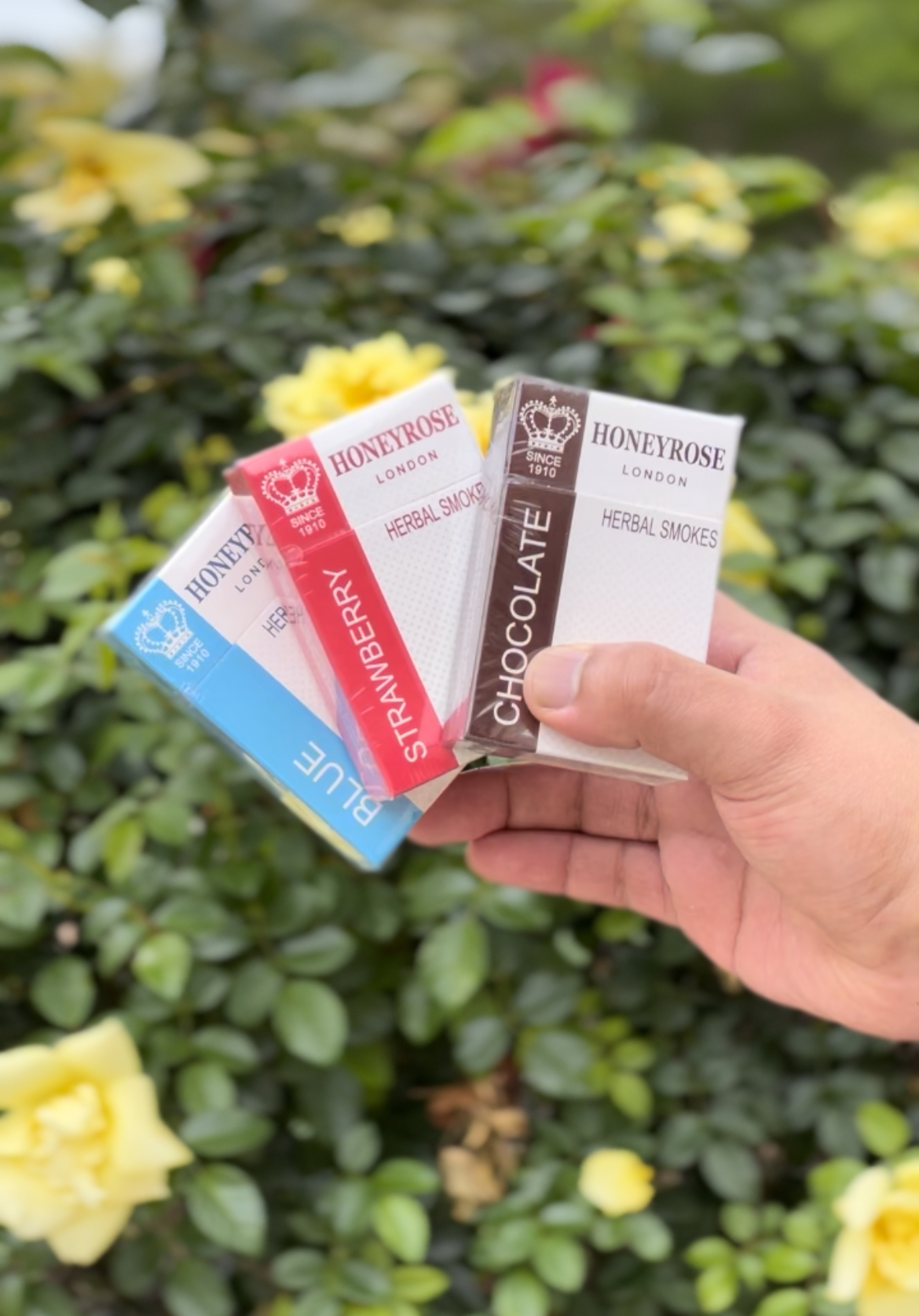 Honeyrose USA