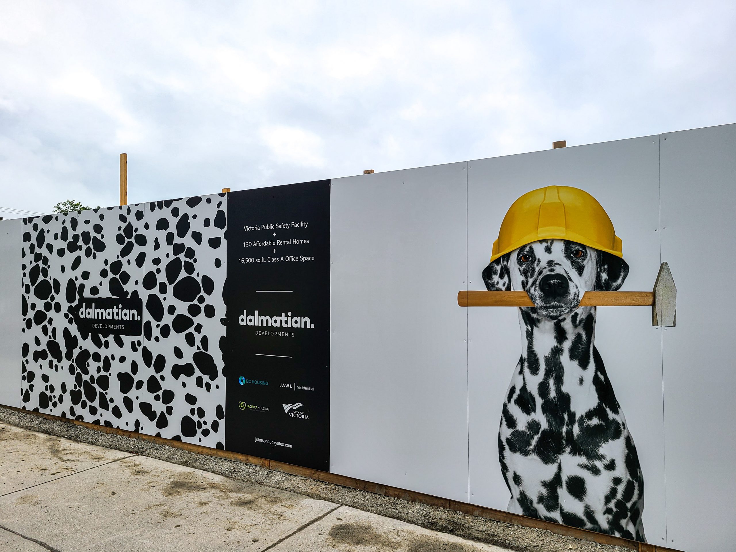 Dalmatian in Hard Hat Dalmatian in Hard Hat