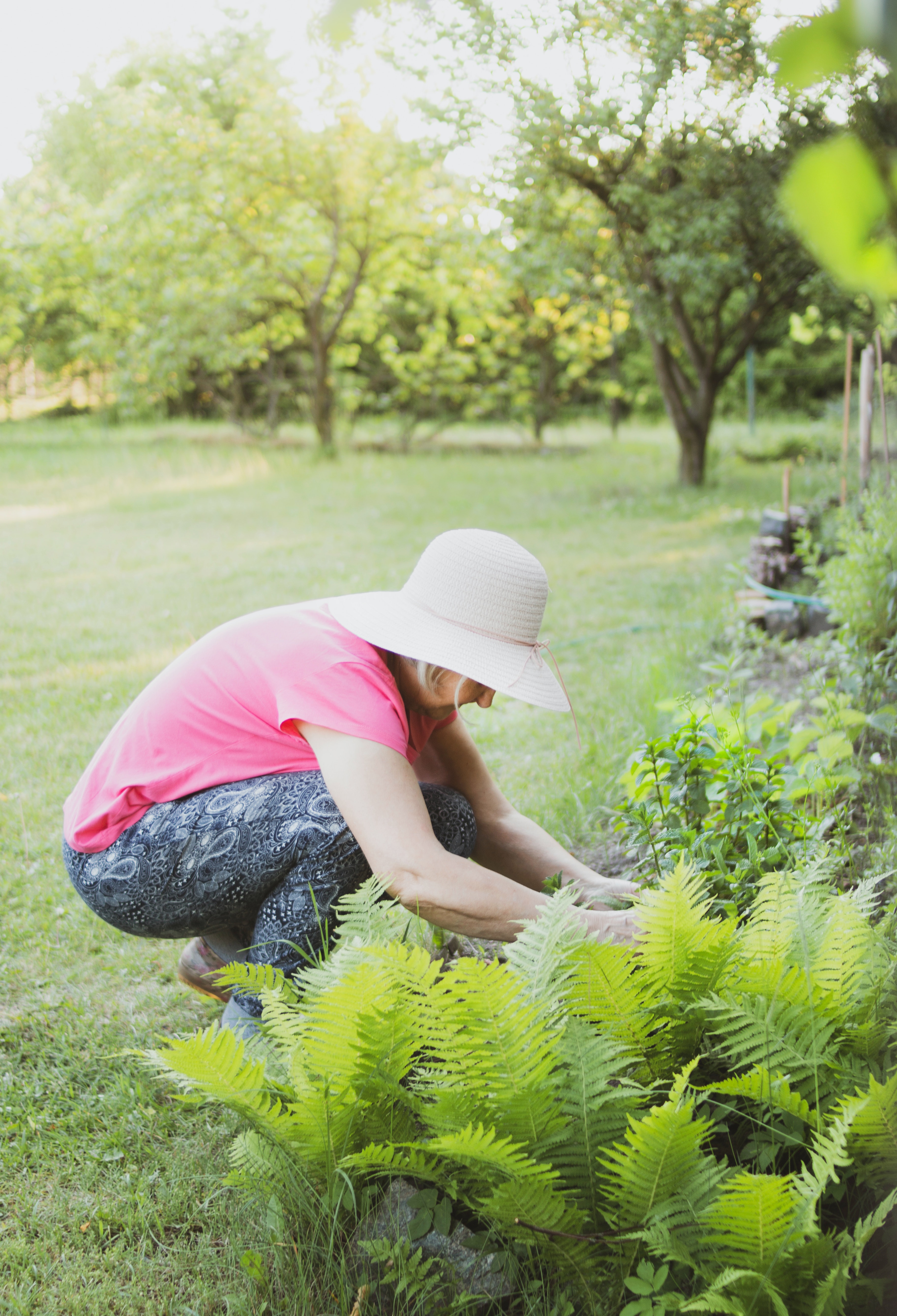 8 spring landscaping ideas that may help raise home value