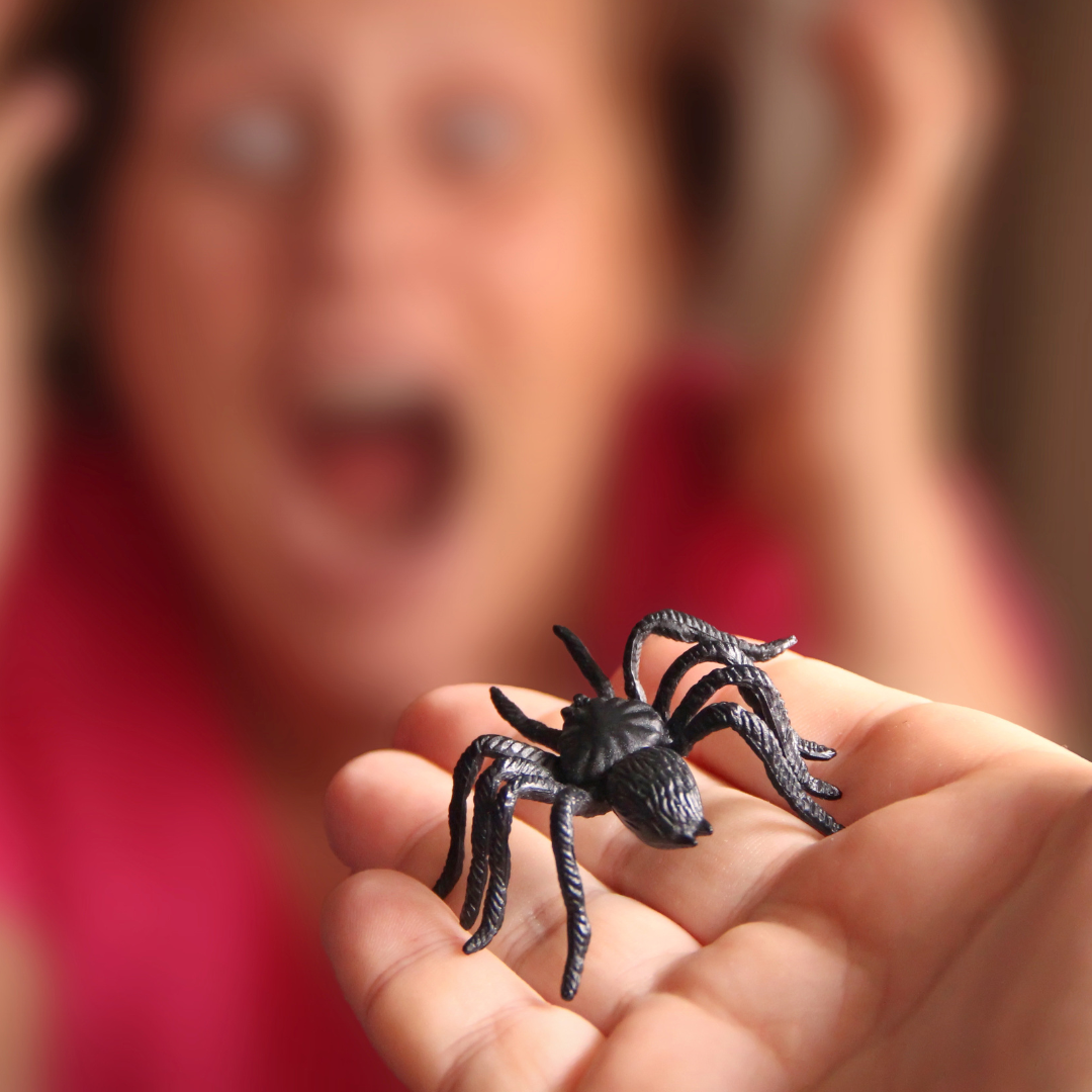 How to overcome phobias How to overcome phobias