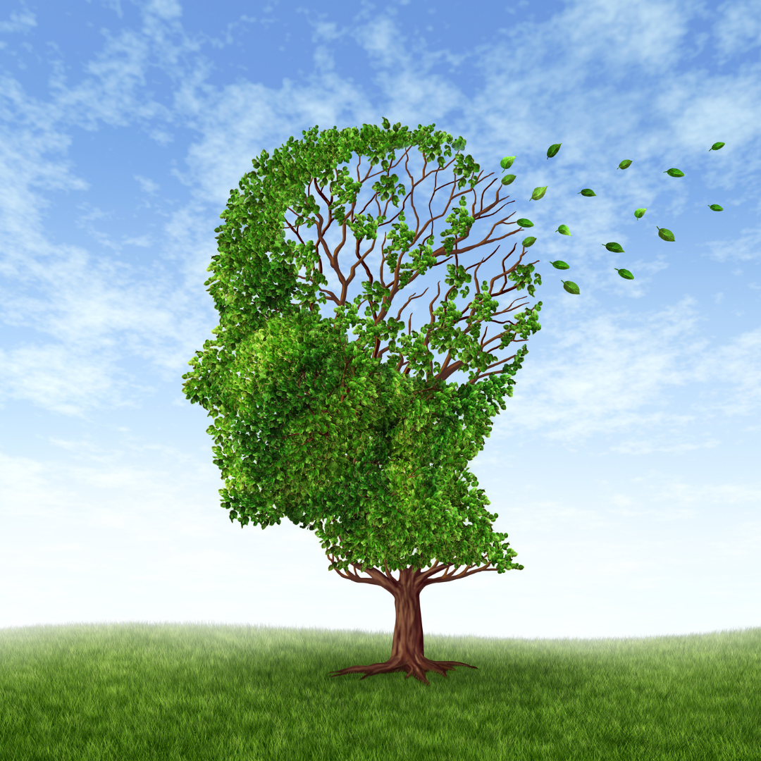 The effects stress has on decision making The effects stress has on decision making