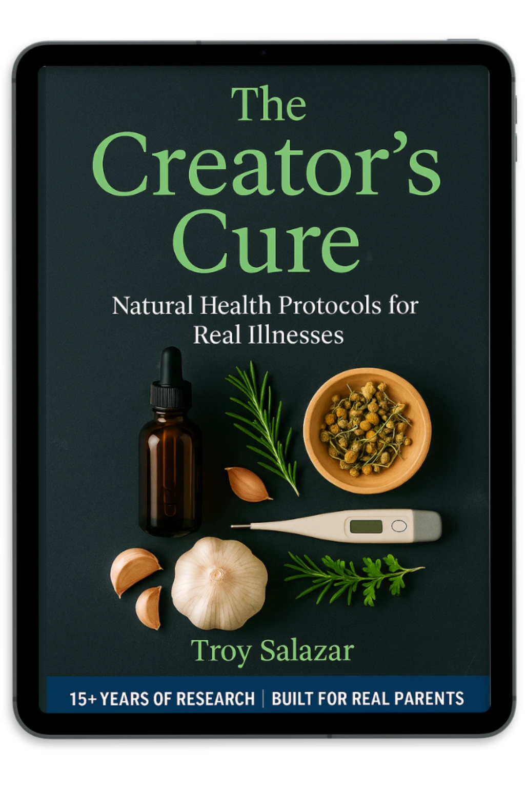 The Creator’s Cure eBook Cover