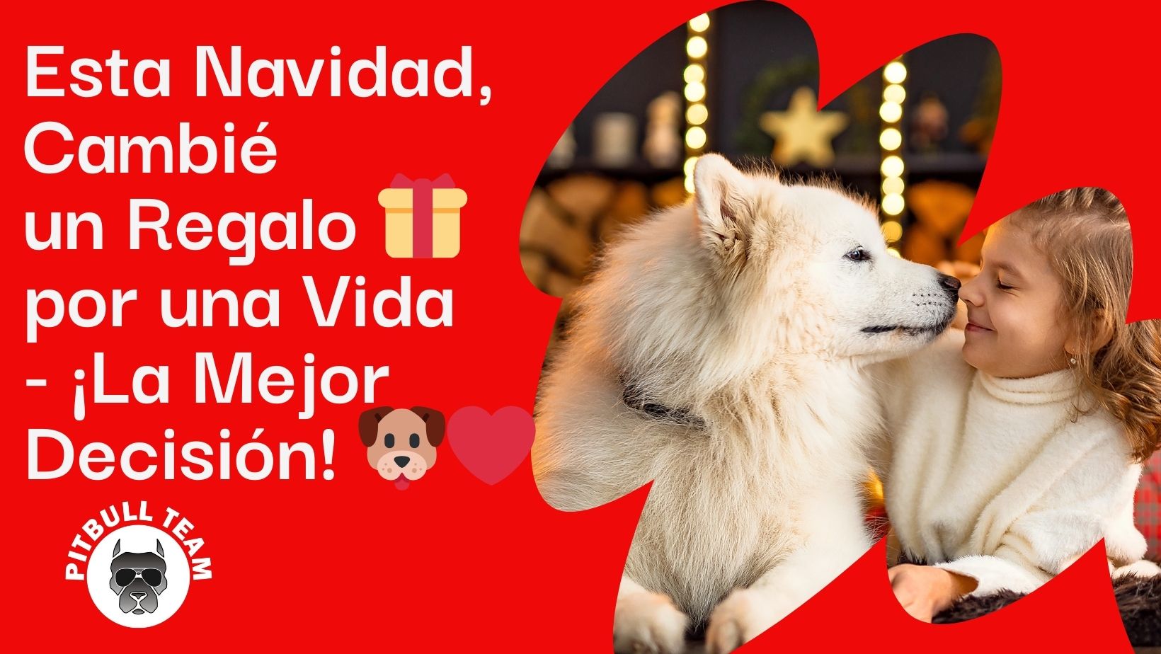  Esta Navidad, Cambié un Regalo por una Vida - ¡La Mejor Decisión! 