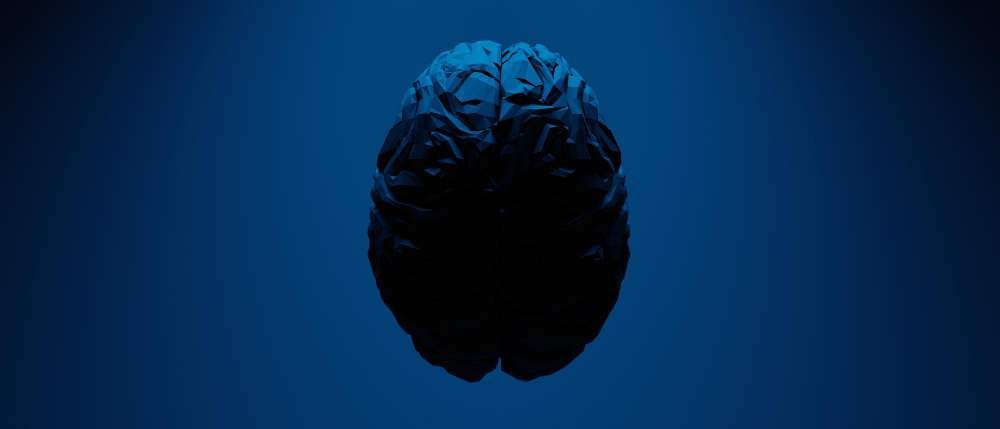 The Human Brain