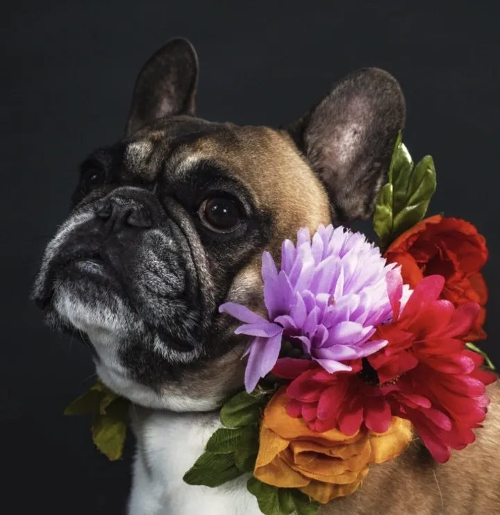 Carleen Moore - blog author image