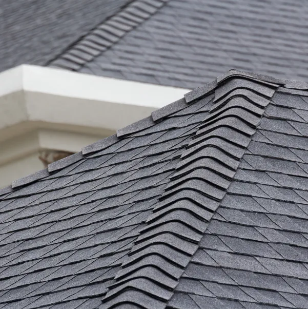 shingle shingle