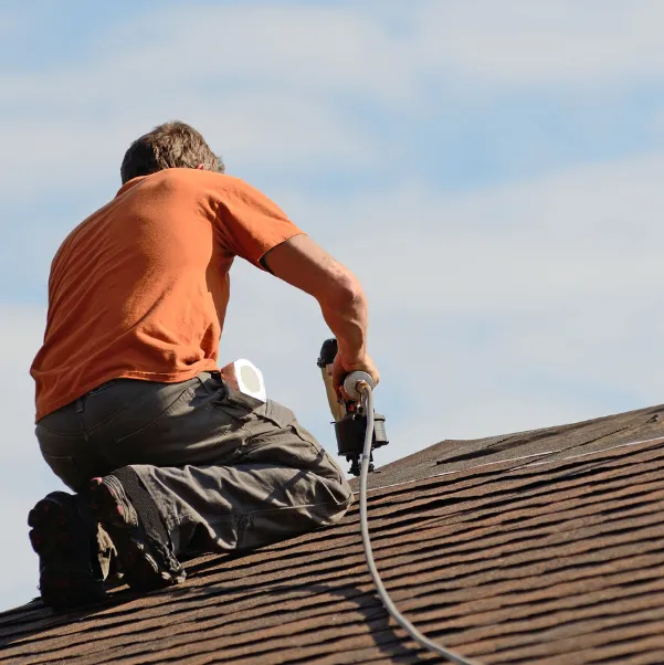 roof-maintenance roof-maintenance