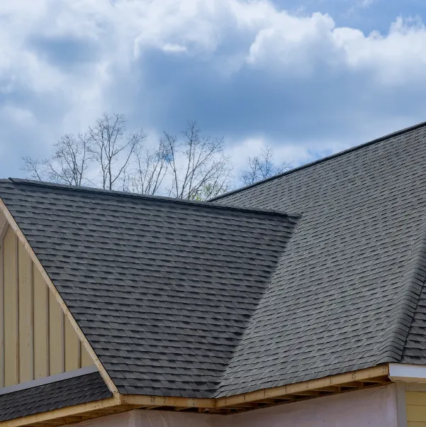 asphalt-shingle-roof asphalt-shingle-roof