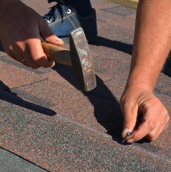 shingle-value shingle-value