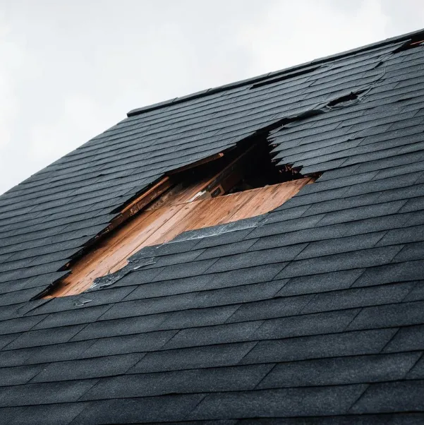 roof-damage-insurance roof-damage-insurance