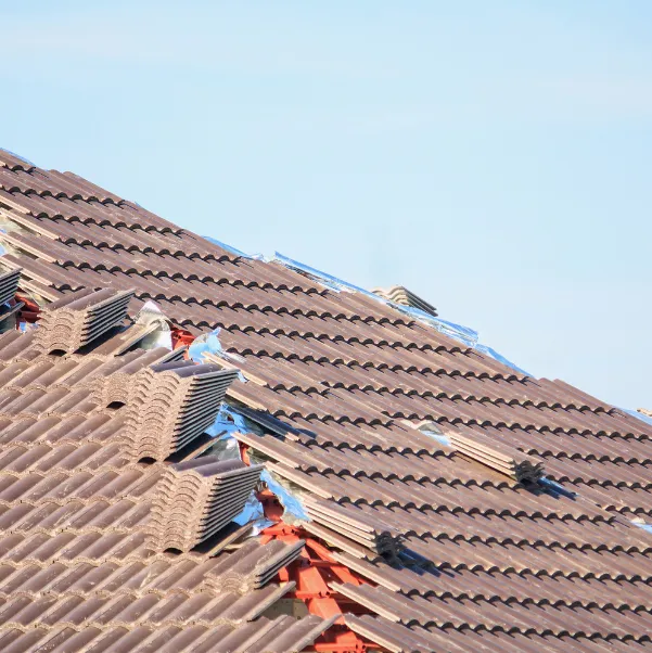 roof-health roof-health