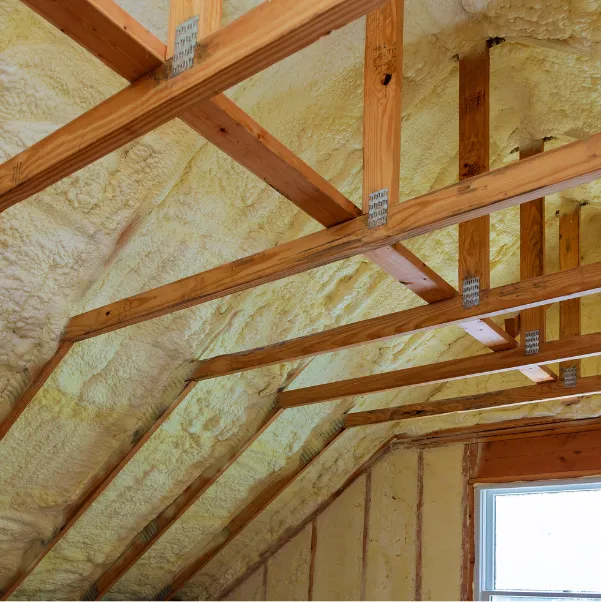 attic-section attic-section