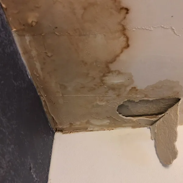 roof-leak roof-leak