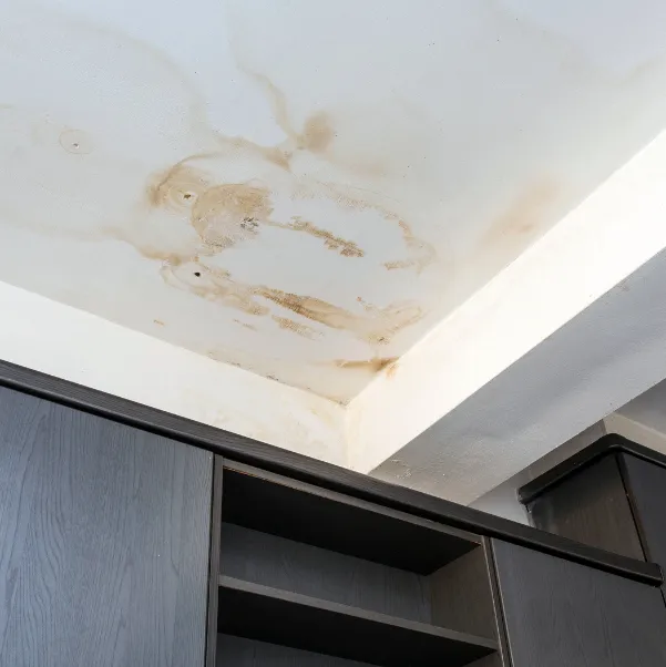 interior-check interior-check