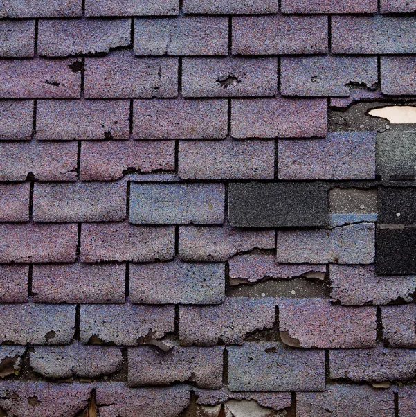 shingle-lifespan shingle-lifespan