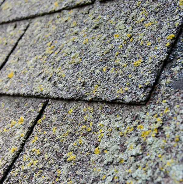 roof-hidden-signs roof-hidden-signs