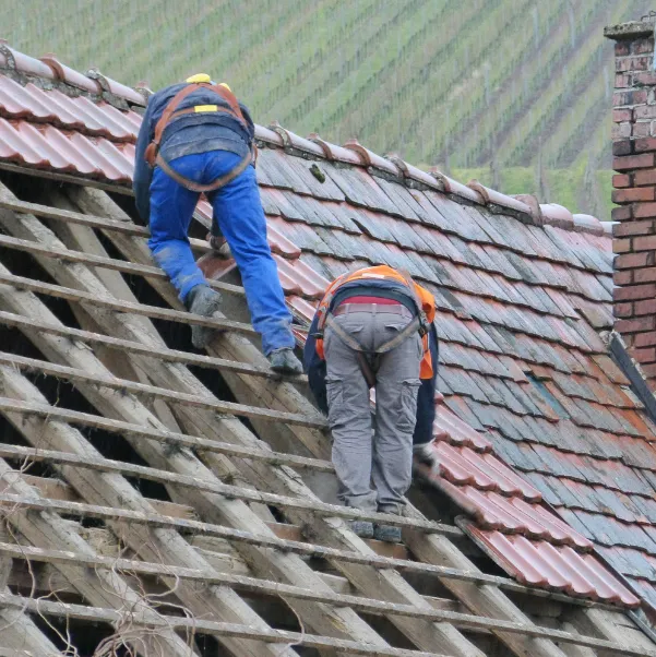 roof-repair-reality roof-repair-reality