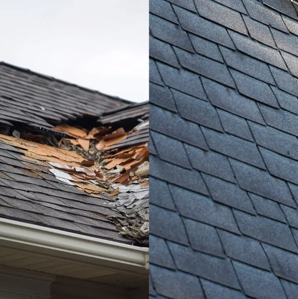 roof-restoration roof-restoration