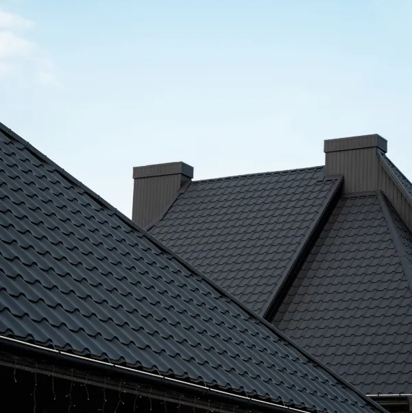 beyond-shingles beyond-shingles