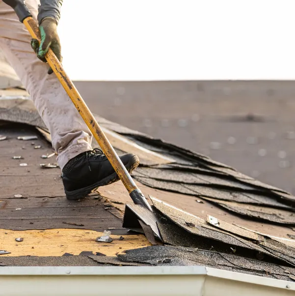 roof-repair roof-repair