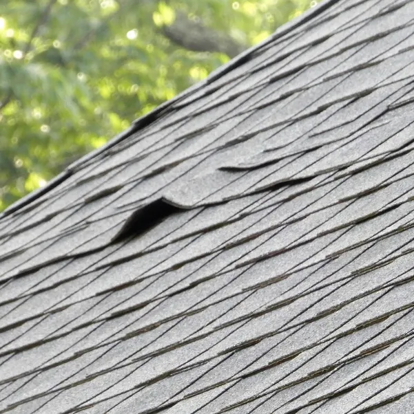 hole-in-roof hole-in-roof