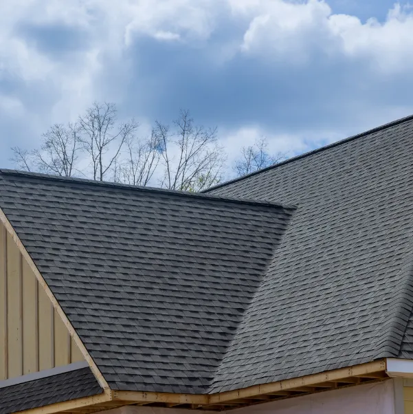 asphalt-roof asphalt-roof